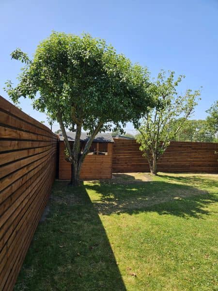 Porcelain Patio & Slatted Fence Cladding in Preston — 20260709 133615