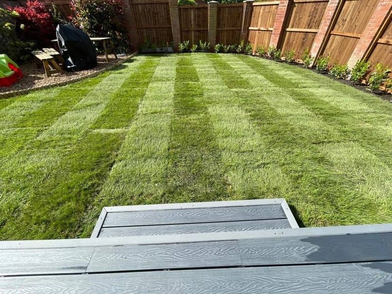 Grey composite decking steps down to a striped new lawn with timber fencing and border planting