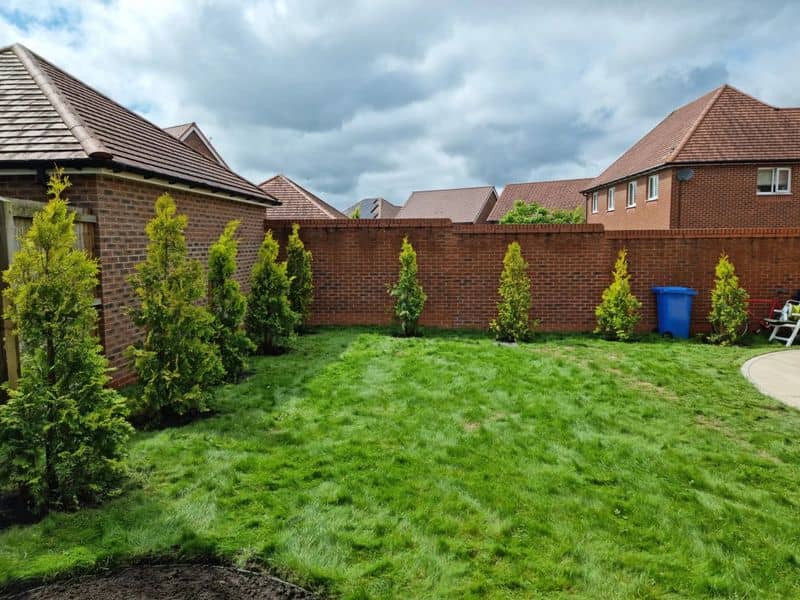 Finished garden