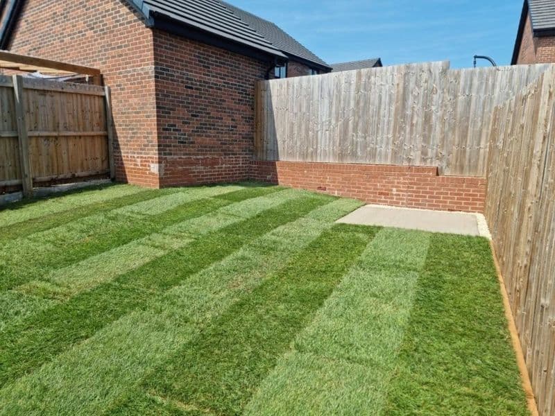 Finished garden