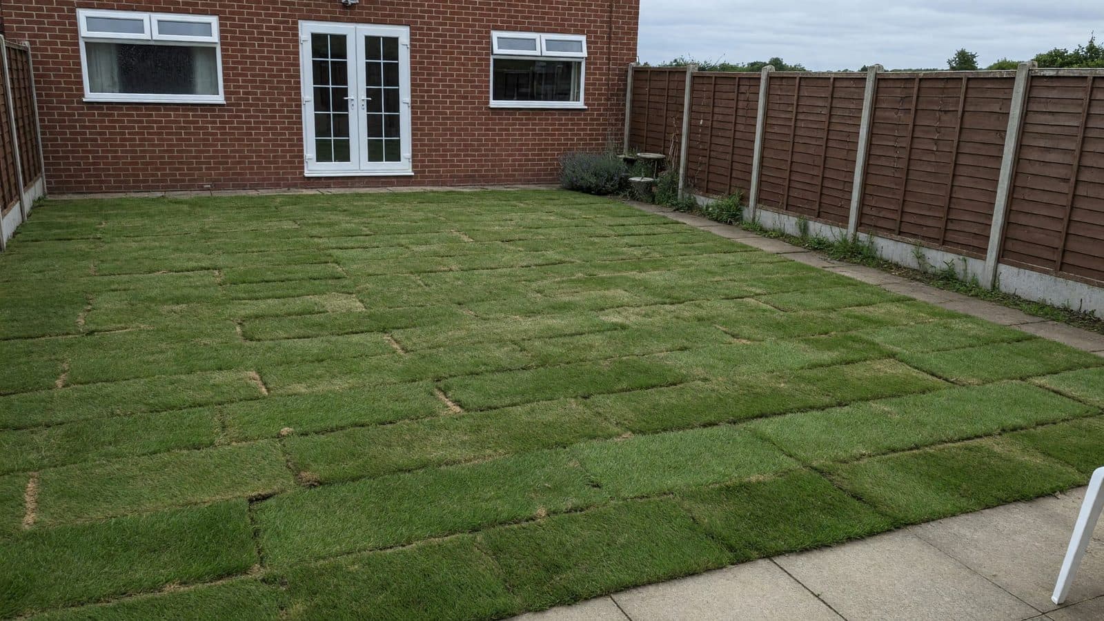 New turf after a dry summer on clay: gaps, lips and patchy rolls