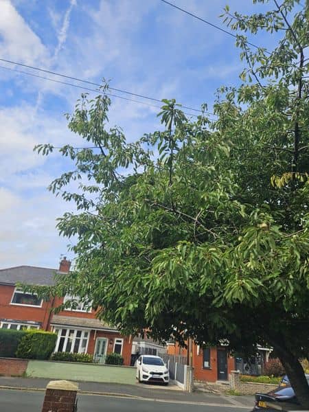 Resin Bound Driveway, Block Paving & French Drain in Preston before works — Preston