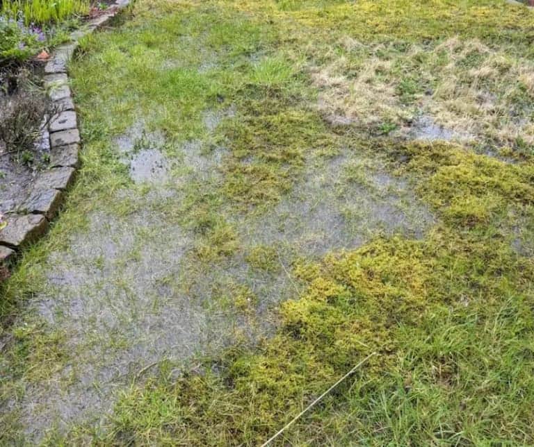 Garden Drainage Solutions