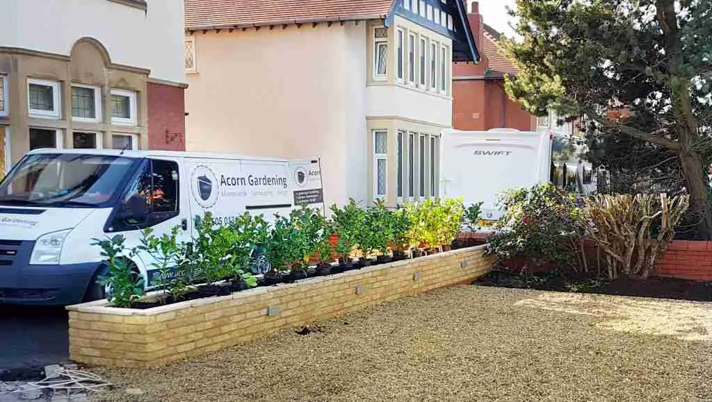 Raised stone planter for screening hedges. Landscaping, Acorn Gardening