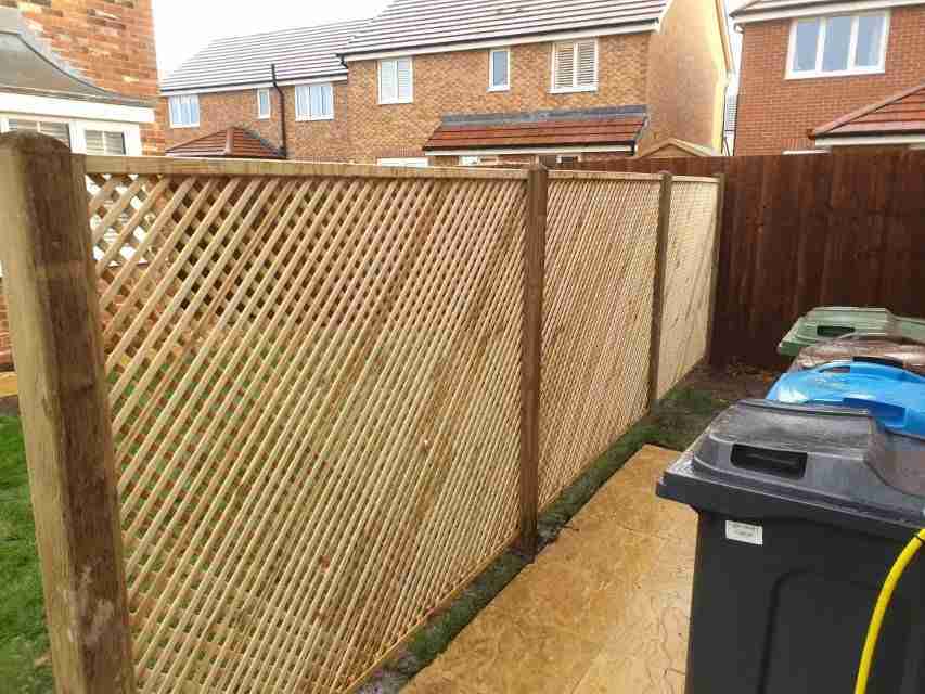 Fine mesh trellis fencing