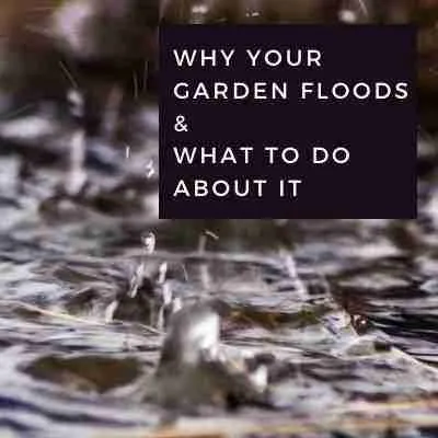 Why your garden floods & What to do about it