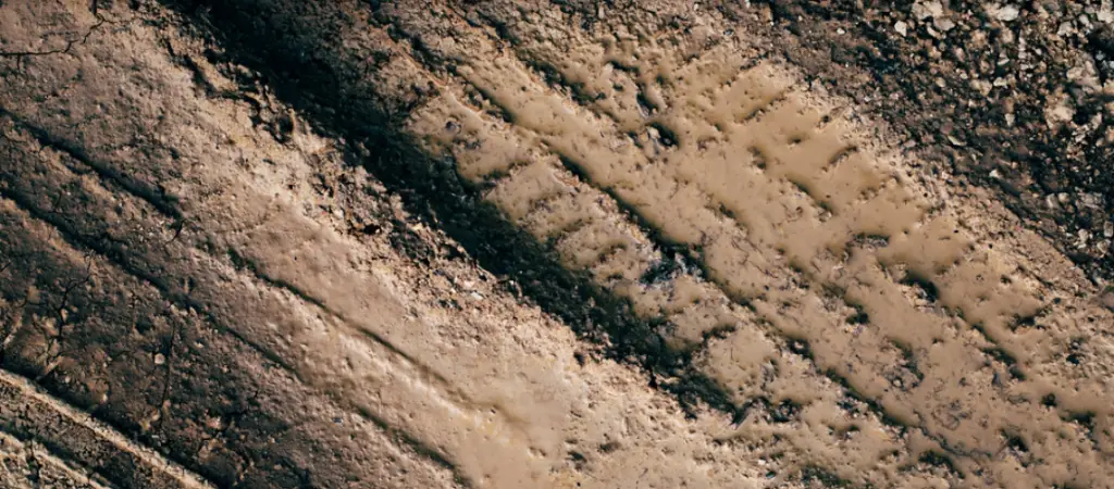 Tracks in clay soil