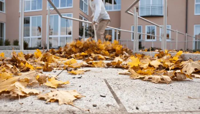 Sweeping leaves off paving