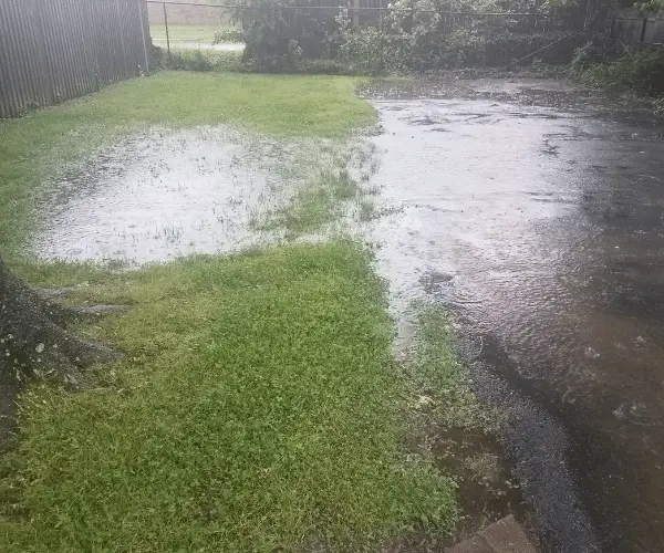 Flooded lawn