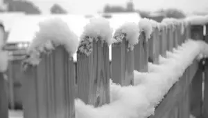 Fence in the snow