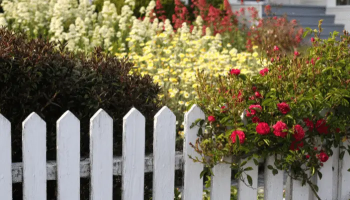 White picket fence in the front garden