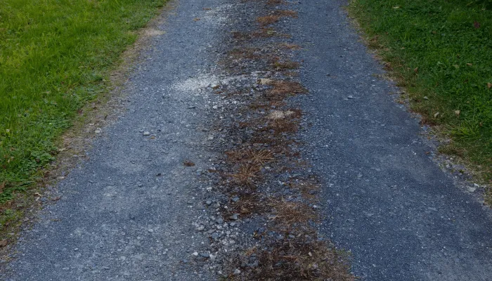 Tarmac plaining driveway