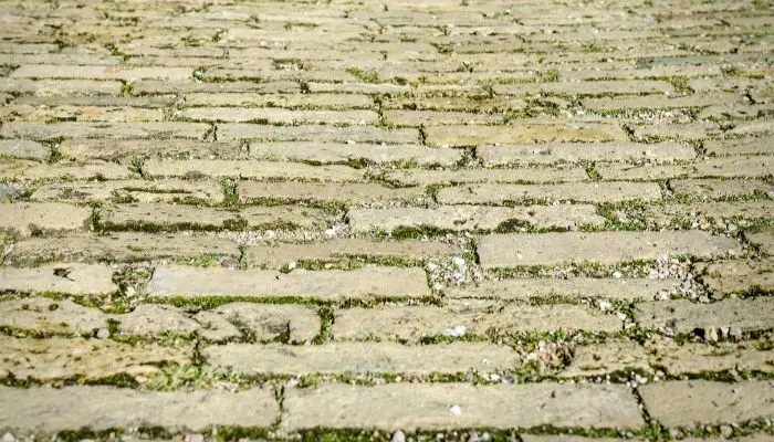 grass paver for driveways