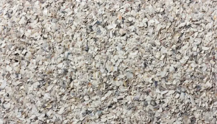 shell driveway