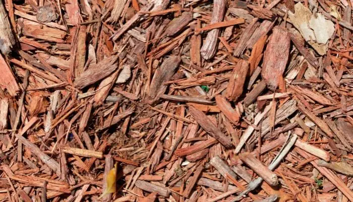 wood chip driveway
