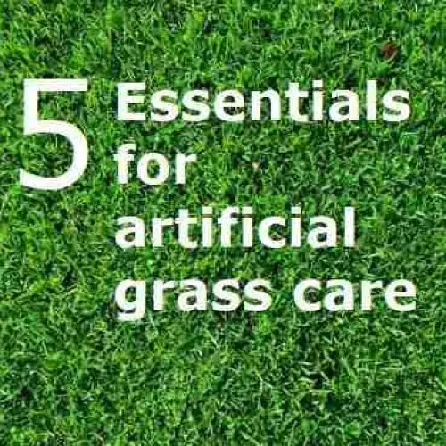 5 Essentials for artificial grass care