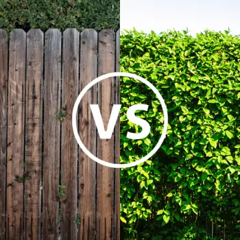 Garden fencing vs hedging: which one is best
